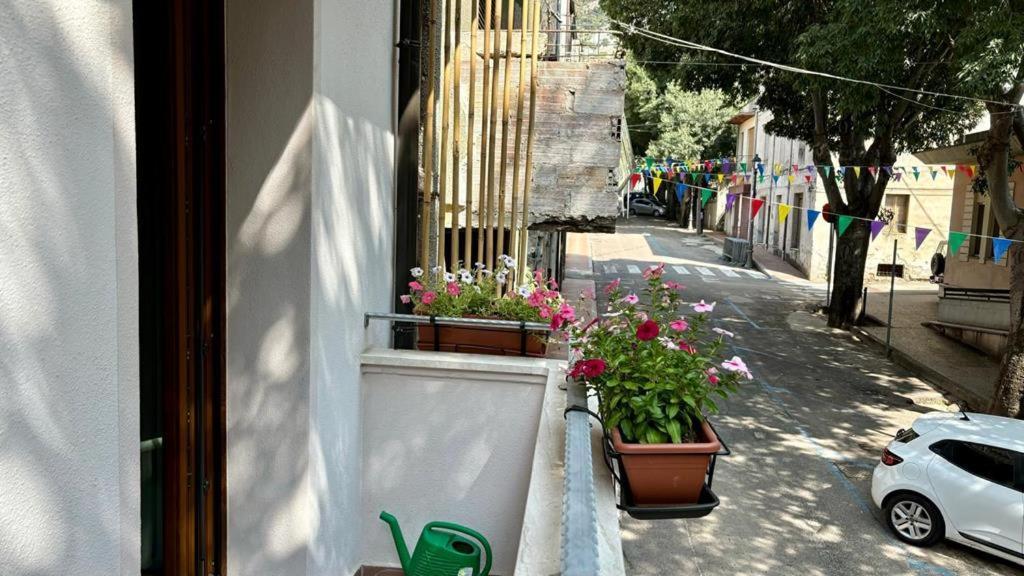 מלון דורגלי Casa Del Corso מראה חיצוני תמונה